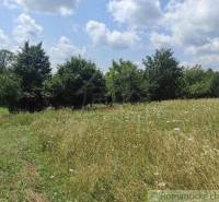 A spacious grassy plot with wildflowers, suitable for peaceful living.