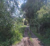 A snowy road in a forested area, ideal for plots and living in nature.