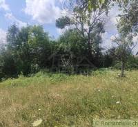 Greenery and trees on an unprotected plot offering opportunities for living in nature.