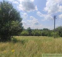 A meadow with an electric pole, surrounded by trees, ideal for residential plots.