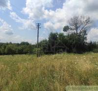 A grassy plot with an electric pole, ideal for living, sunny location, trees.