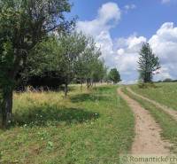 A dirt road surrounded by trees and meadows, perfect for peaceful living.