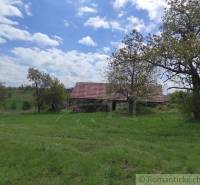 A landscape with a house surrounded by trees, meadows, and a blue sky.