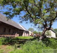 A family house in the countryside surrounded by greenery and trees in the garden.