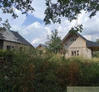 A cottage hidden among trees, surrounded by lush flora, an ideal family home.