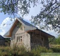 A country house surrounded by greenery, with a tin roof and an old window.