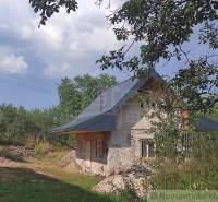 A family house under the trees, surrounded by nature and bordered by greenery.