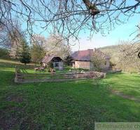 A rural family house in a natural setting, surrounded by blooming trees and a green lawn.