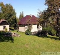 Old family house, romantic cottage, garden, tree, lawn. Retro recreation.