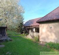 Blooming trees and a family house with a traditional roof in a peaceful garden.