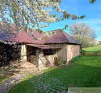 A romantic family house by the garden, blooming trees, a stone path, nature in the background.