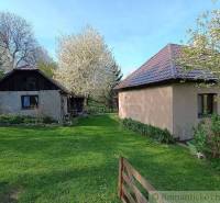 A yard with two houses, green lawn, blooming trees, quiet environment.