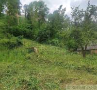 The image shows a sloped plot of land with greenery and trees suitable for living.