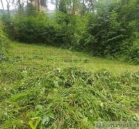 Mowed grass on a green plot surrounded by trees, ideal for living.