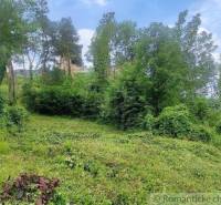 A large greenery surrounds the plot suitable for living in a picturesque environment.