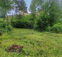 Spacious plots ideal for living, surrounded by greenery and forest environment, slightly hilly.