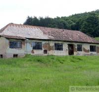 An old house with damaged plaster stands on a green meadow near the forest.