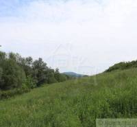Green meadow with a hill and forest, ideal for a family house.