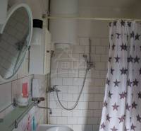 The painting depicts a bathroom with white tiles and a shower in a cabin.
