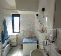 A bathroom in a cabin with a sink, toilet, and shelves offers a functional space solution.