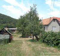 A family house with a red roof, a tree, a woodshed, a garden in the countryside.