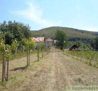 A wide meadow with fruit trees next to a family house and a wooded hill in the background.