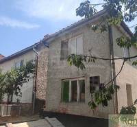 The picture shows a family house with unplastered walls, surrounded by a garden.