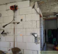 Unfurnished room in a family house, with garden tools and equipment on the wall.