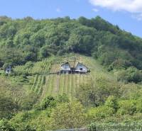 A cottage in Veľký Krtíš surrounded by vineyards and green hills under a blue sky.