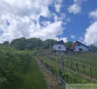 A vineyard with a cottage near Veľký Krtíš, blue sky with clouds.