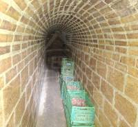 Arched cellar with potatoes in crates, ideal for storage at the cottage.