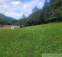 A sloping meadow with a forest, open landscape, and blue sky, ideal for gardens.