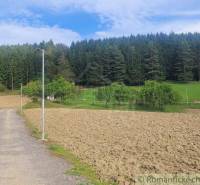 A country road next to a forest, fields and gardens with fruit trees in nature.