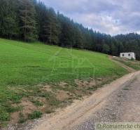 A green meadow with countryside and forest, a short distance from the road, in nature.