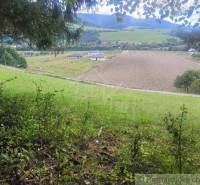 A valley with a field, houses and trees in the background, nature and gardens complete the scenery.