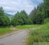 A forest road surrounded by agricultural and forest lands, a natural landscape with hills.