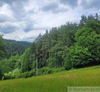 Hilly agricultural and forest lands full of dense forest and green grass under a cloudy sky.