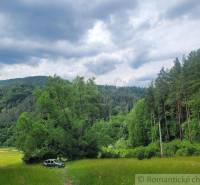 A car parked near the forest, surrounded by agricultural and forest land, the sky overcast.