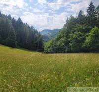 A meadow with agricultural and forest land surrounded by dense forest under a sunny sky.