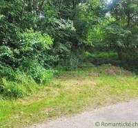A path surrounded by dense greenery, an ideal place for agricultural and forest land.