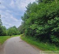 The path runs alongside forest lands with a dense green edge in the background.