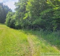 Forest land, grass, trees, and a road. Agricultural areas amidst nature.