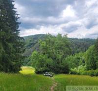 A meadow surrounded by forests, a car on agricultural and forest land under a cloudy sky.