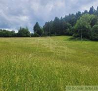 A green meadow with tall grass and a forest in the background, ideal for agricultural and forestry land.
