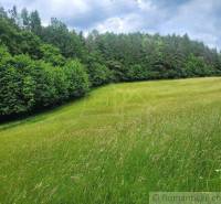 A wide meadow surrounded by dense forest, ideal for agricultural and forestry land.