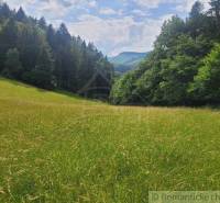 Beautiful meadows and forest stands, ideal for agricultural and forest land.