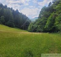 A green meadow surrounded by dense forests, ideal for agricultural and forestry land.