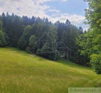 A green meadow surrounded by forest trees, ideal for agricultural and forestry land.