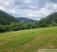 A green meadow surrounded by forest, ideal for agricultural and forestry land.