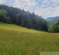 Beautiful meadow, surrounded by forests and hills, ideal for agricultural and forestry land.